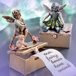 Miss Daisy Fairy Box BX33 - Sweet Romance Wholesale