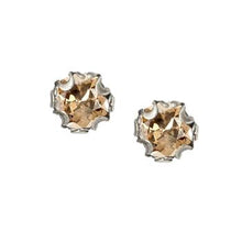 Load image into Gallery viewer, Birth Month Cushion Cut Stud Earrings E1982 - Sweet Romance Wholesale